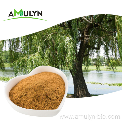 Natural 98% White Willow Bark Extract Salicin